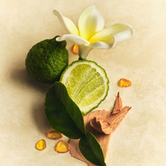 Mini Hair & Body Mist - Fresh Pair